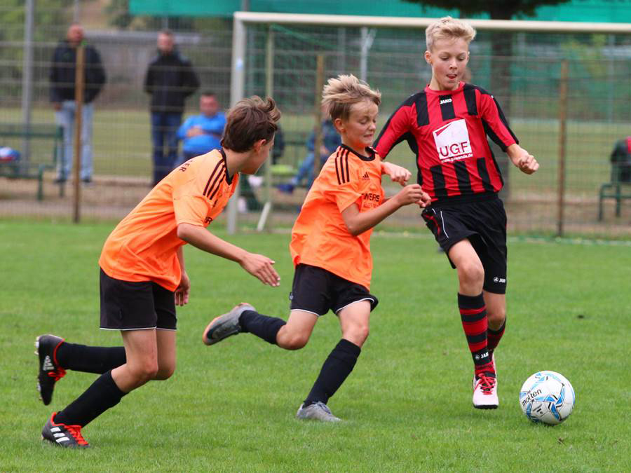 Hoyerswerdaer Fc Hoyerswerdaer Fc