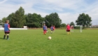 WhatsApp Image 2020-07-25 at 15.49.37
