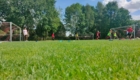 IMG-20220726-WA0004