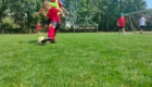 IMG-20220726-WA0006